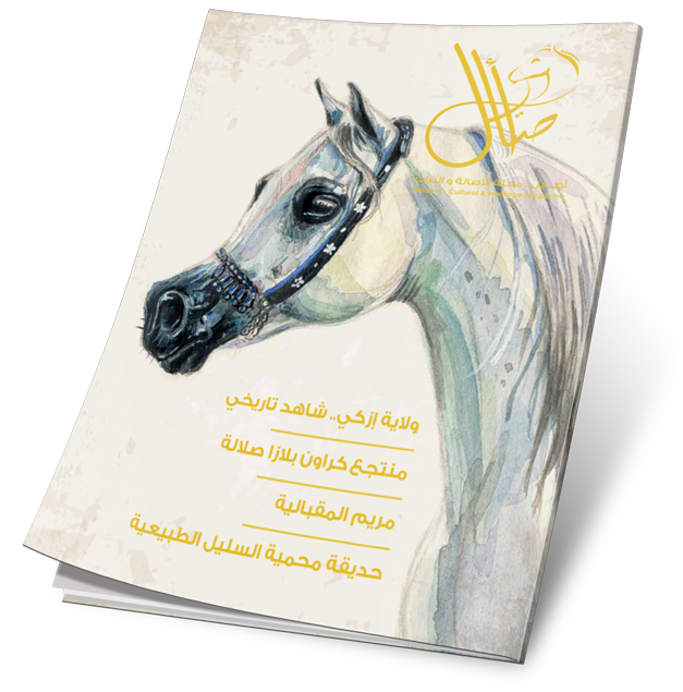 غلاف العدد 60